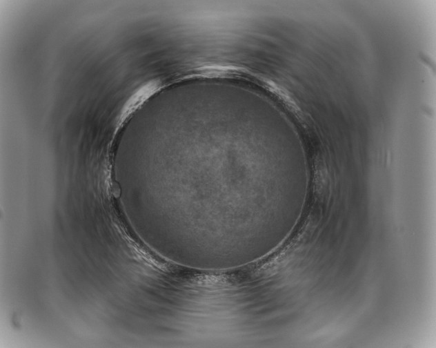 X0000098021362200803281325