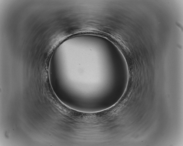 X0000098021363200803281325