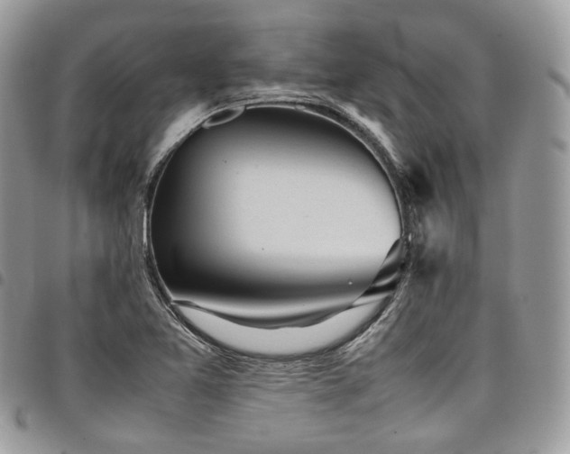 X0000098021365200803281325