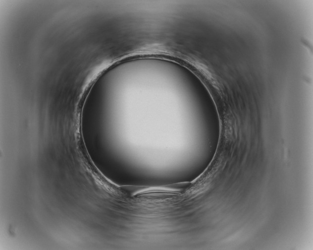 X0000098021366200803281325