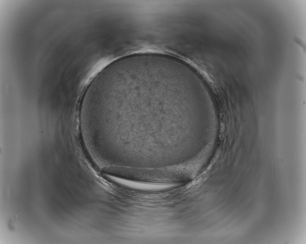 X0000098021367200803281325