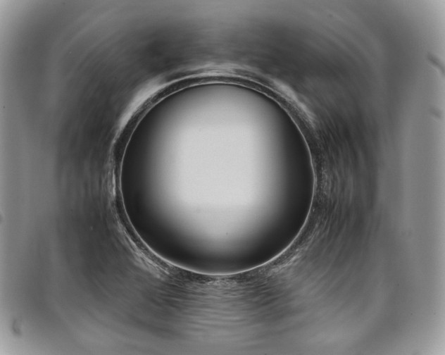 X0000098021368200803281325