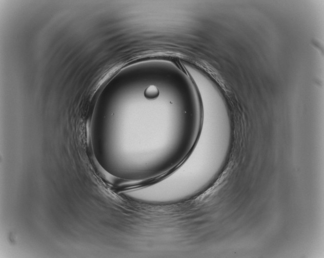 X0000098021369200803281325