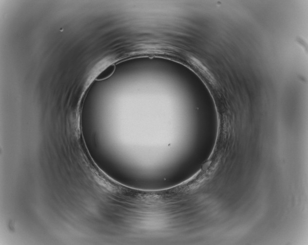 X0000098021370200803281325