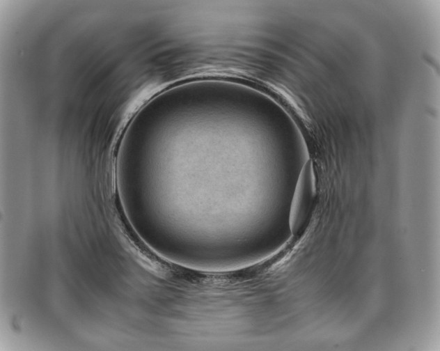 X0000098021371200803281325