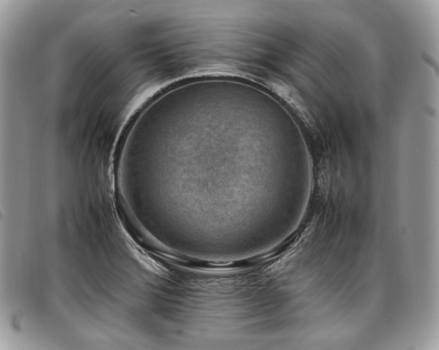 X0000098021372200803281325