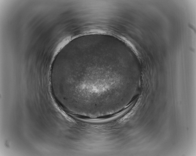 X0000098021373200803281325