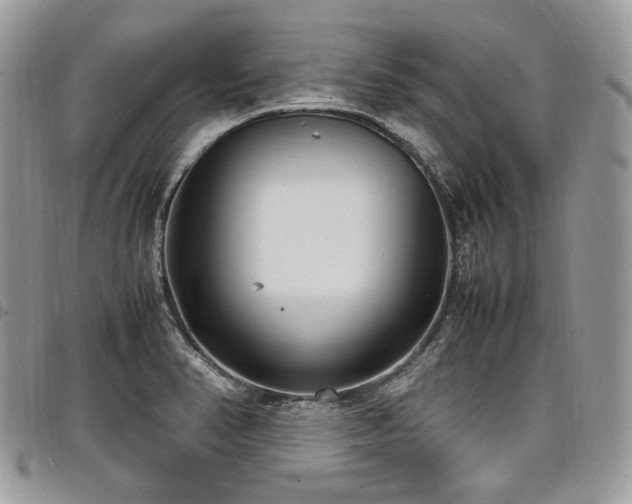 X0000098021374200803281325