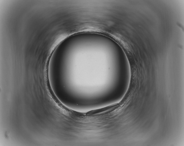 X0000098021375200803281325