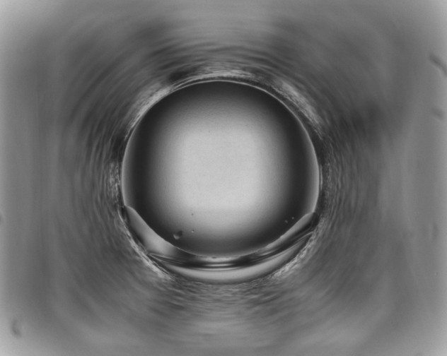 X0000098021377200803281325