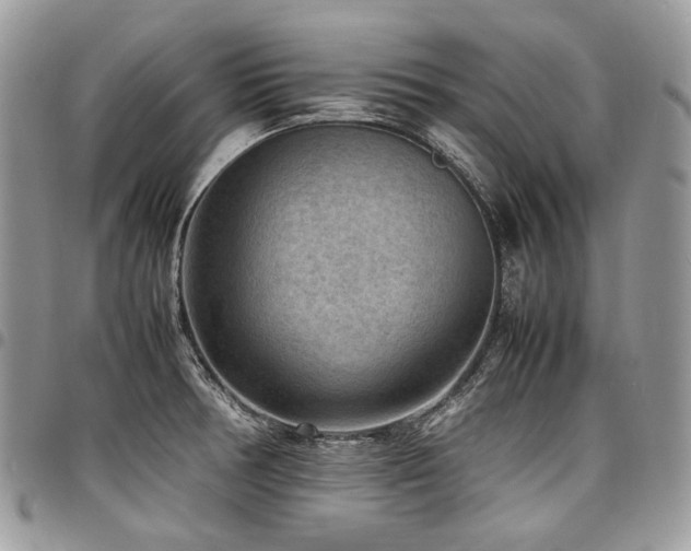 X0000098021378200803281325