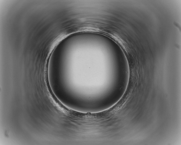 X0000098021379200803281325