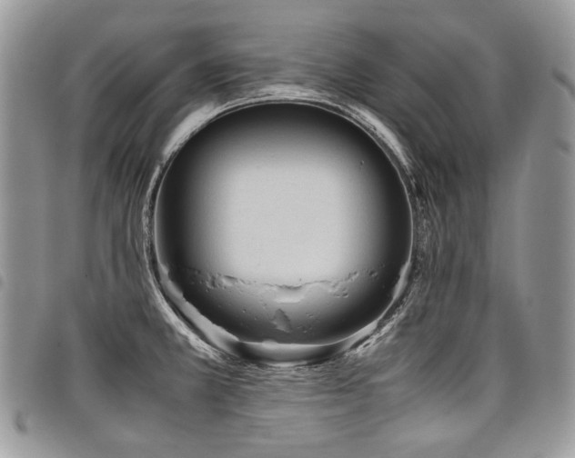 X0000098021381200803281325