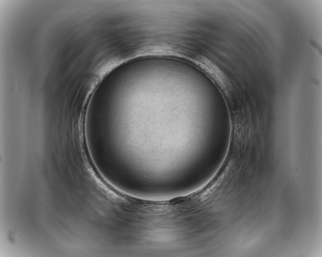 X0000098021382200803281325