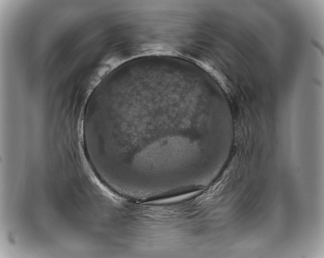 X0000098021383200803281325