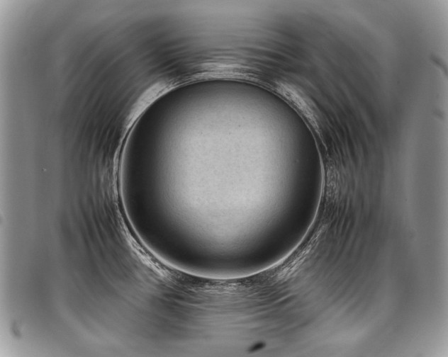 X0000098021386200803281325