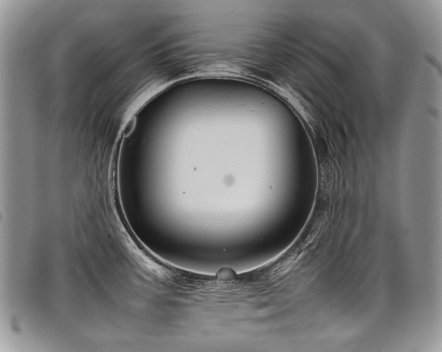 X0000098021387200803281325