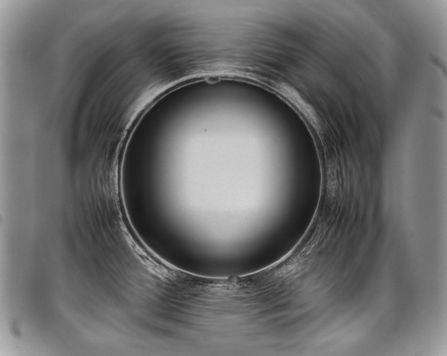 X0000098021388200803281325