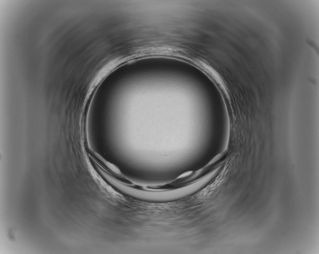 X0000098021389200803281325