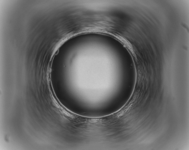 X0000098021390200803281325