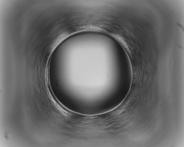 X0000098021391200803281325