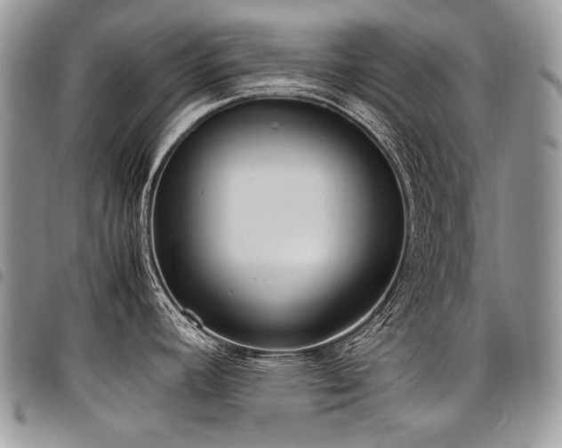 X0000098021392200803281325