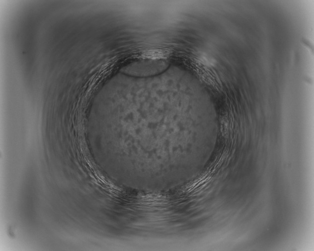 X0000098021393200803281324