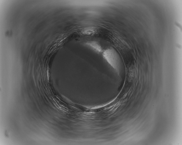 X0000098021394200803281324