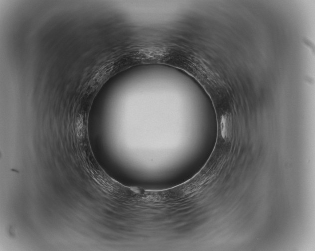 X0000098021395200803281324