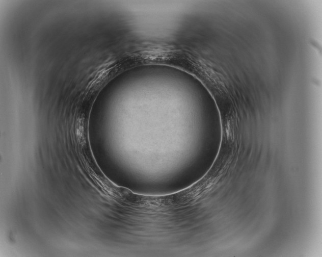 X0000098021396200803281324