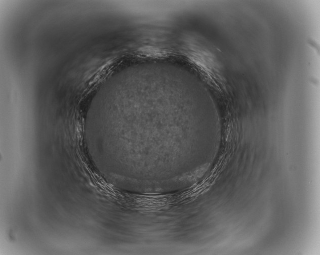 X0000098021397200803281324