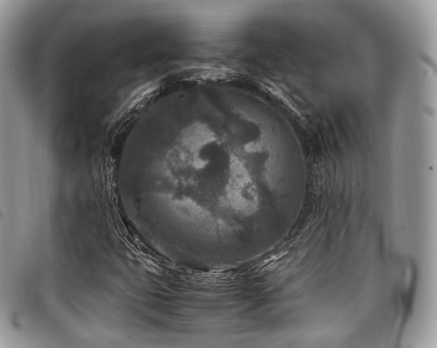 X0000098021399200803281324