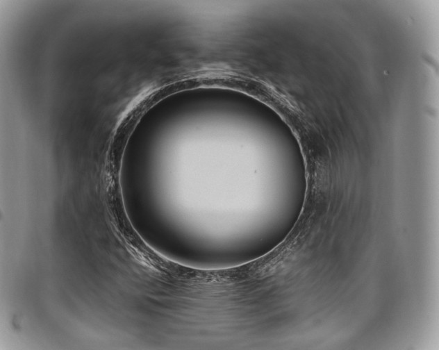 X0000098021400200803281324