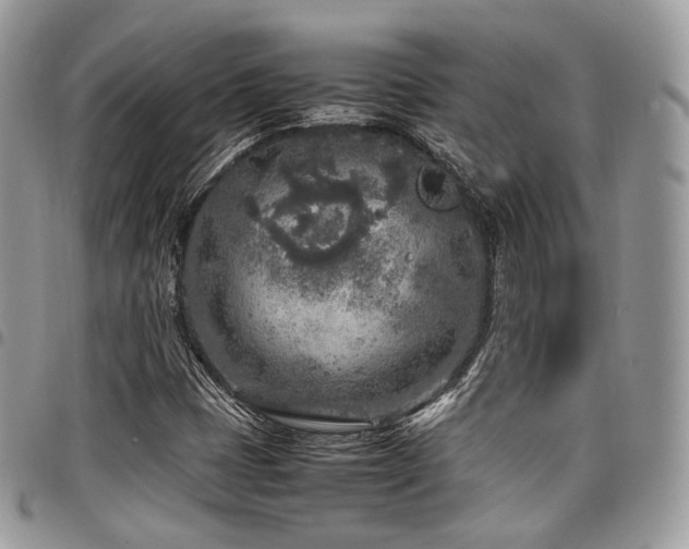 X0000098021401200803281324