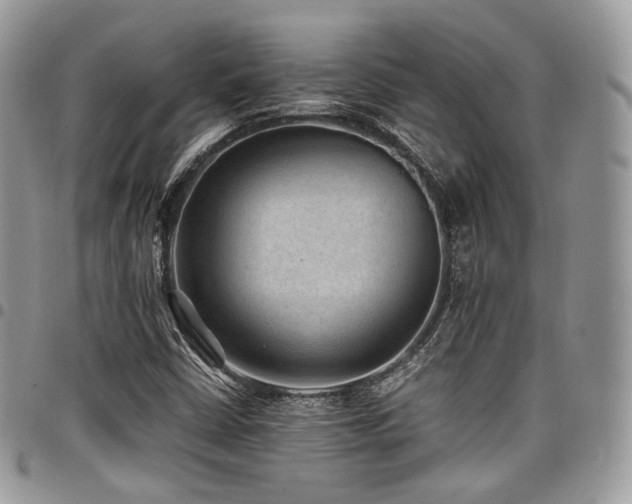 X0000098021402200803281324