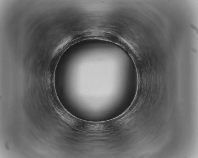 X0000098021403200803281324