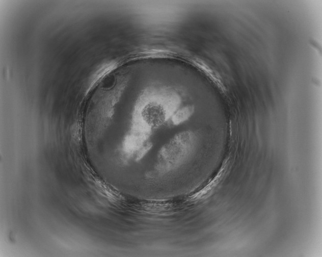 X0000098021405200803281324