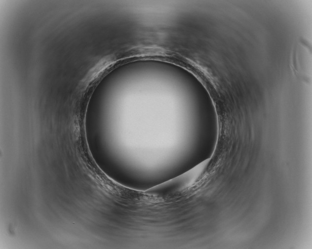 X0000098021407200803281324