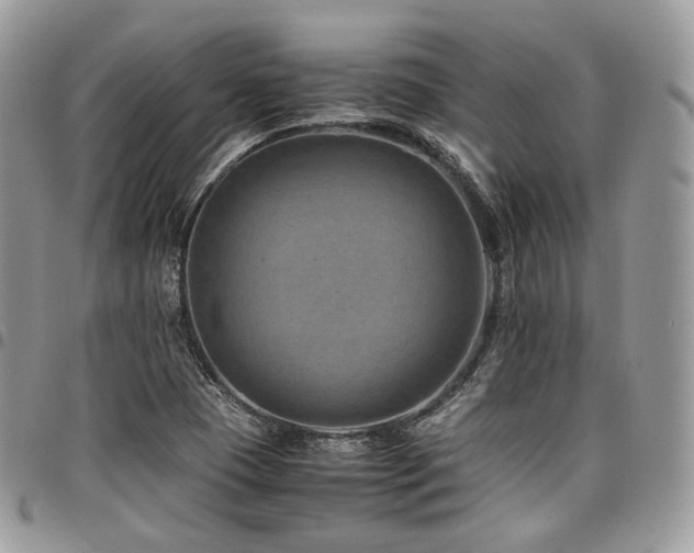 X0000098021409200803281324