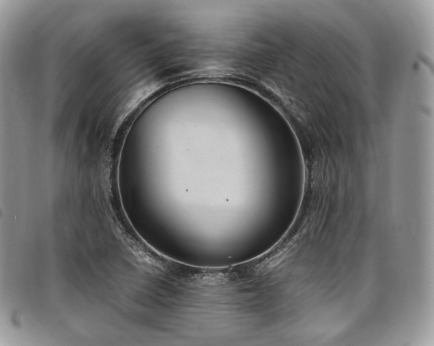 X0000098021410200803281324