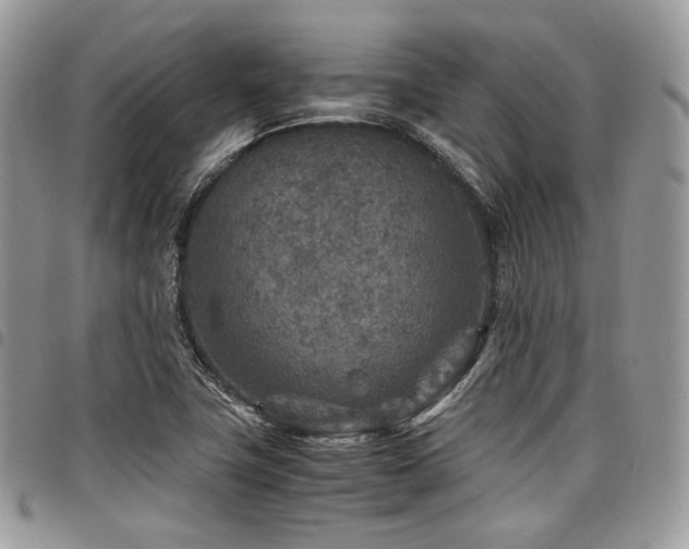 X0000098021411200803281324