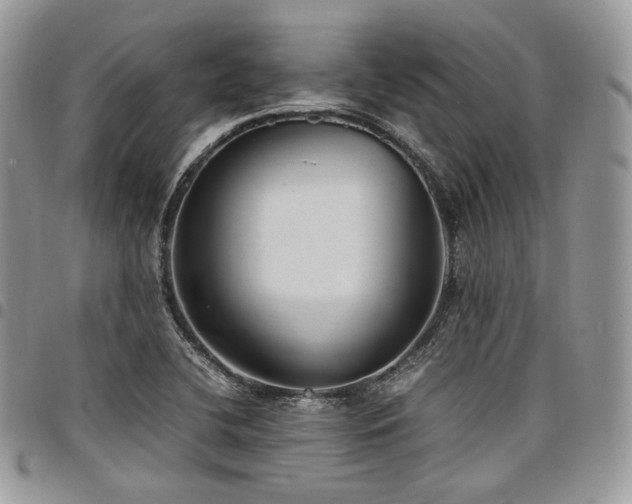 X0000098021412200803281324