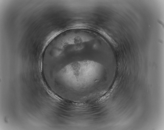 X0000098021413200803281324