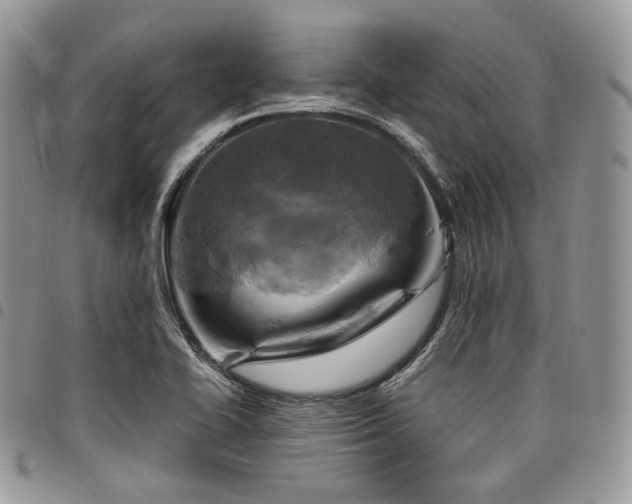 X0000098021414200803281324