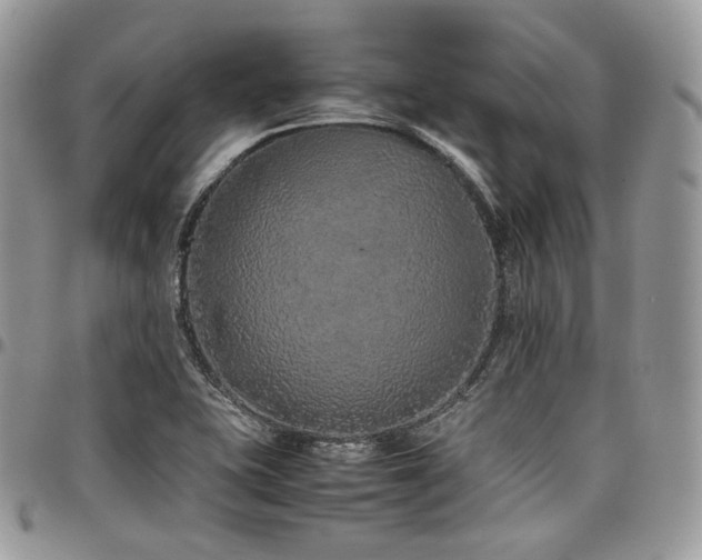 X0000098021415200803281324