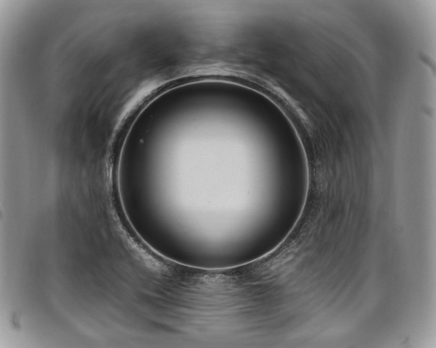 X0000098021416200803281324