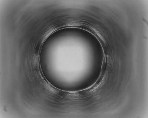 X0000098021417200803281324