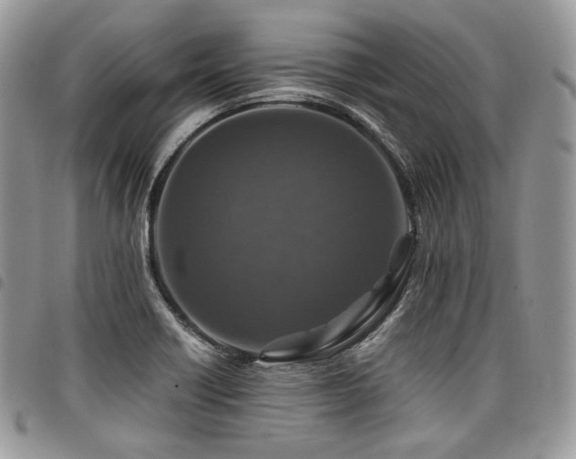 X0000098021418200803281324