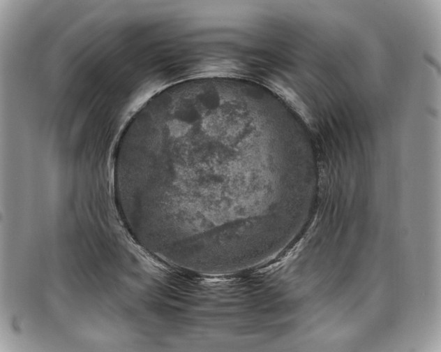 X0000098021419200803281324