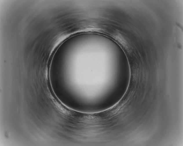 X0000098021420200803281324